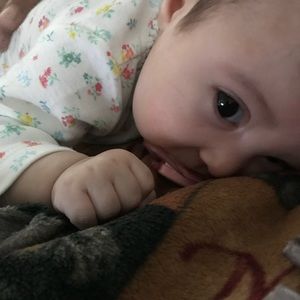 Meet your Posher, Josh